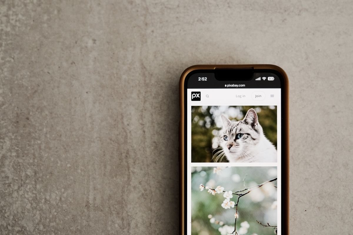 Téléphone portable sur une surface grise affichant des images de chat et de