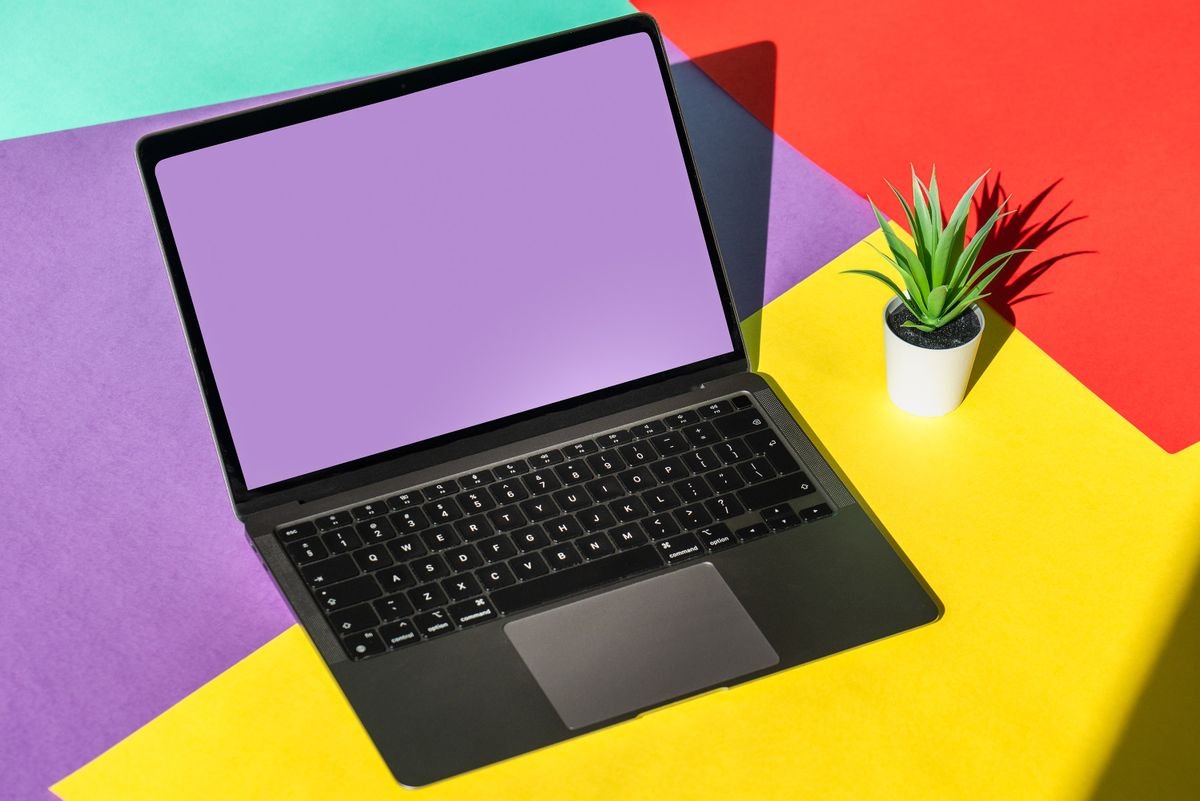 Ordinateur portable moderne sur un fond coloré vibrant avec une plante en pot