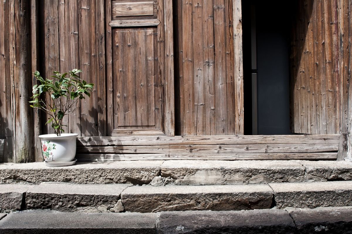 Une charmante porte en bois avec une plante en pot décorative à côté des
