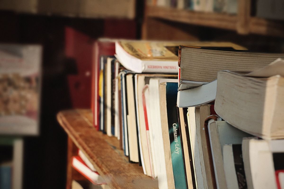Une sélection de livres vintage sur une étagère en bois à Dol-de-Bretagne