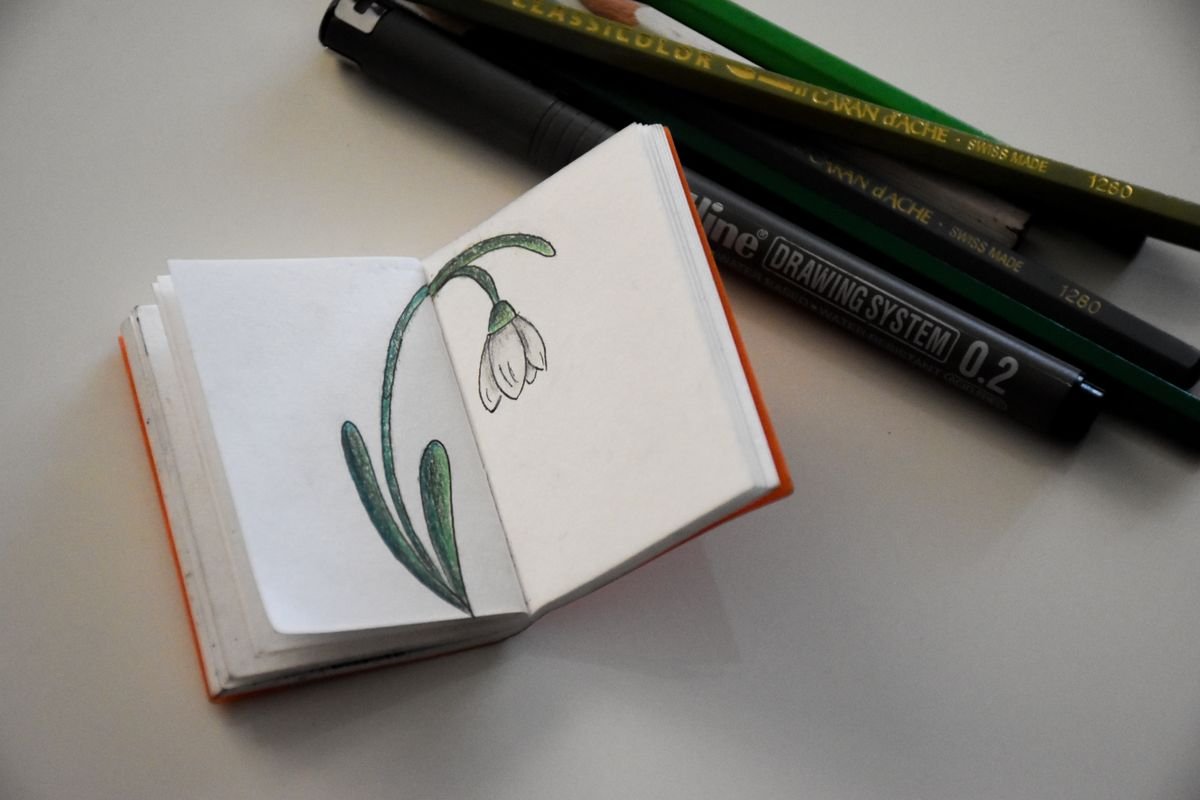 Mini carnet de croquis ouvert affichant un dessin de fleur de perce-neige avec